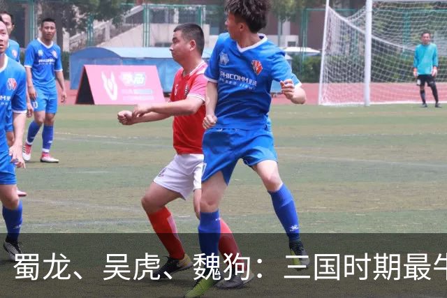 蜀龙、吴虎、魏狗：三国时期最牛的家族风投